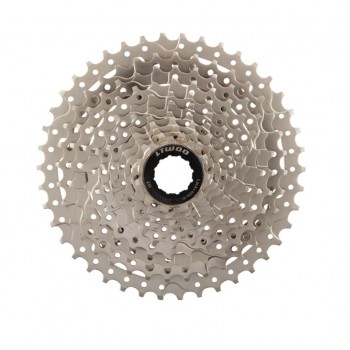 Transmisión L-TWOO 10v